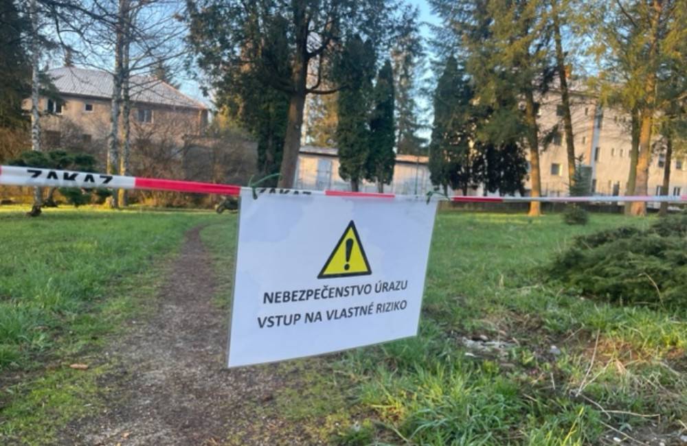 Foto: Poškodené stromy v handlovskom parku. Mesto žiada obyvateľov, aby do označeného priestoru nevstupovali