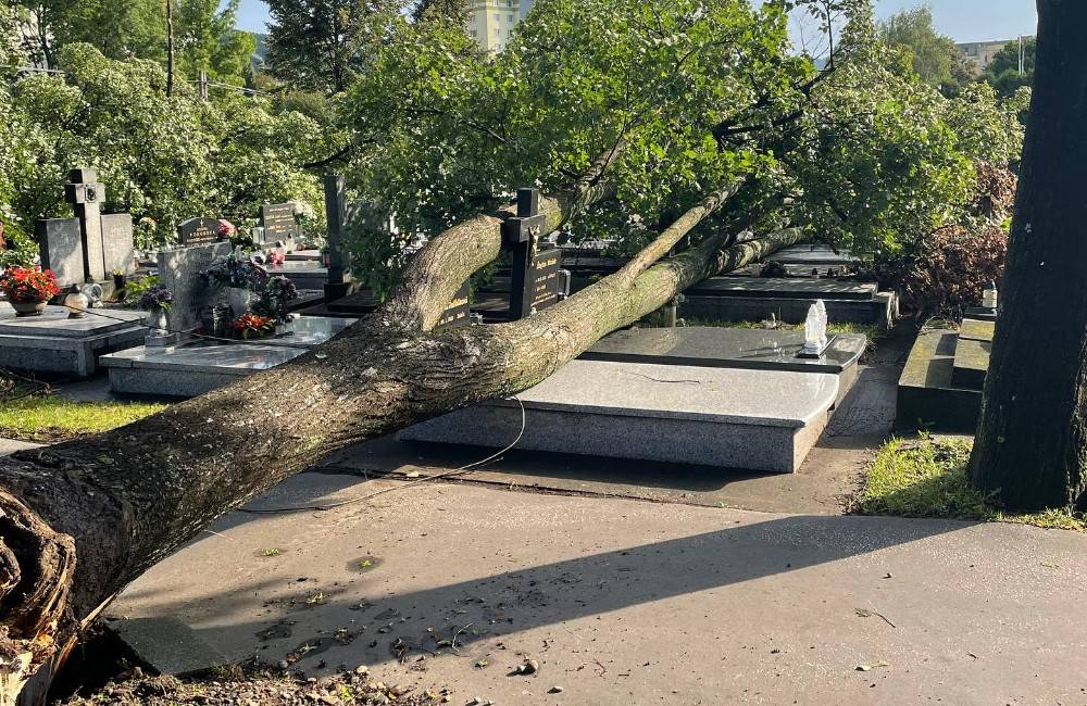 FOTO: Nočná kalamita zanechala na hroboch púchovského cintorína viditeľné škody