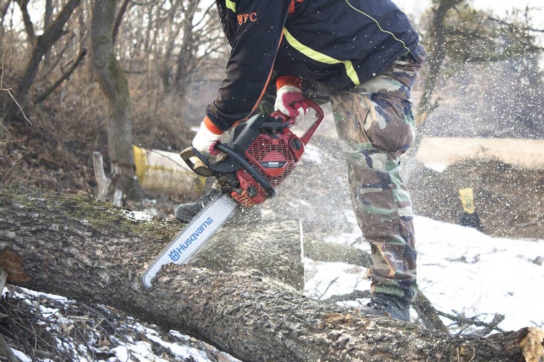 Foto: Pri prechádzkach kúpeľným parkom v Trenčianskych Tepliciach buďte opatrní. Prebieha tam výrub stromov