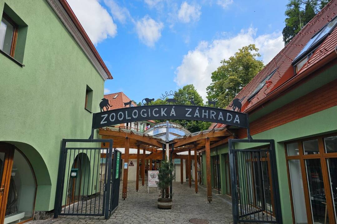 Bojnickú zoo čaká rekonštrukcia pavilónu opíc. Popraskané sklá ohrozujú zvieratá aj návštevníkov