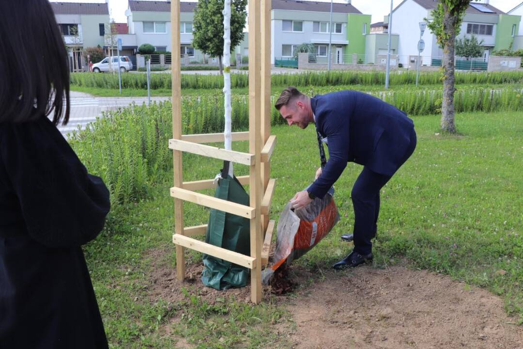 FOTO: Čím viac detí, tým viac zelene. V Dubnici dostane každé bábätko svoj stromček