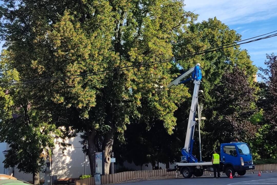 FOTO: Na podnet občanov v Ilave orezali chránenú lipu. Pri veterných smrštiach z nej padali konáre