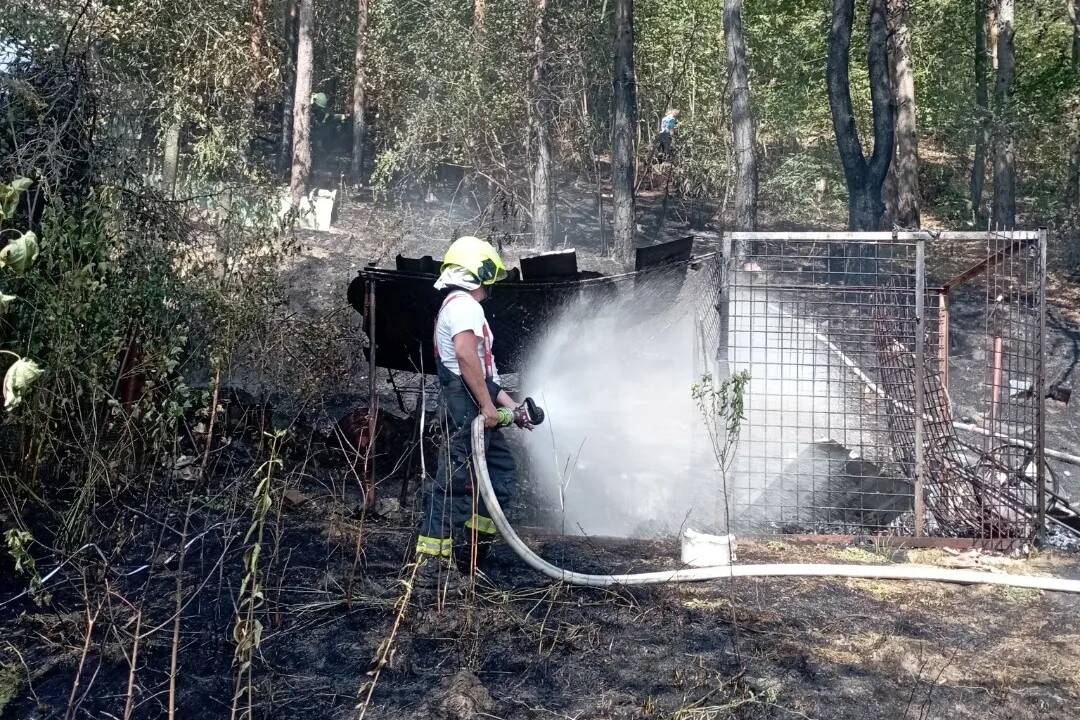 FOTO: V Novej Dubnici horel borovicový les. Hasičom sa podarilo zachrániť chatky, zhoreli však menšie objekty