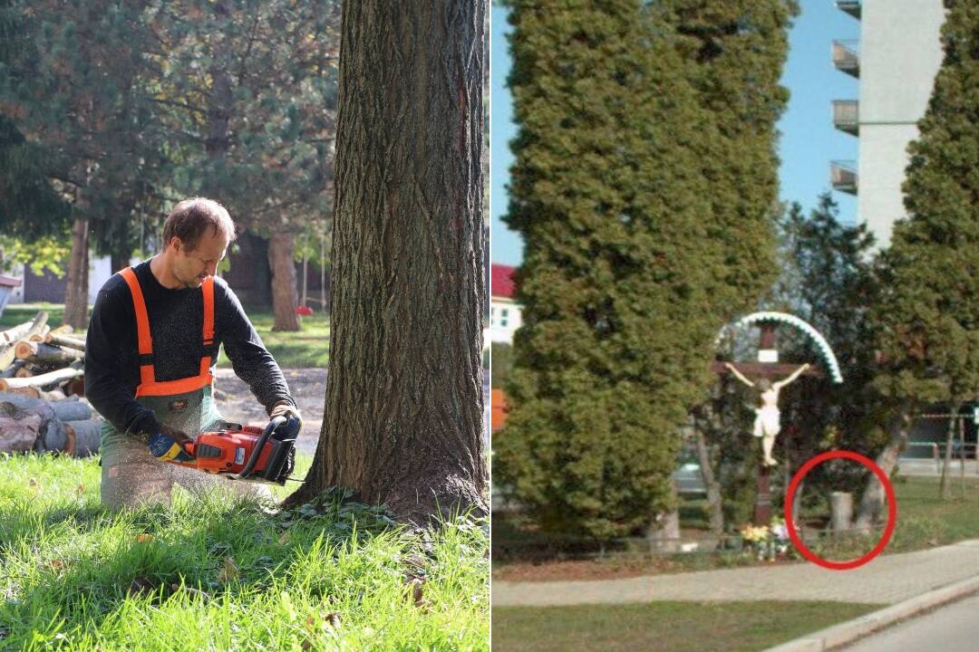 Foto: Zase ubudlo zelene, hnevajú sa Dubničania. Mesto v týchto dňoch odstraňuje stromy na viacerých miestach