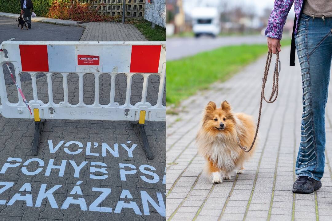 V Handlovej označili miesta, kde je voľný pohyb psov zakázaný. Psičkarom sa to nepáči