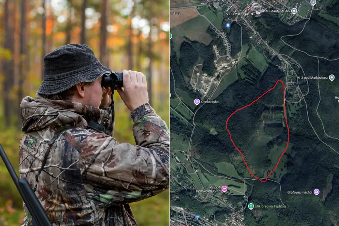 Foto: V Dubnici nad Váhom aj v Novej Dubnici budú strieľať na diviaky. V týchto lokalitách je zakázané pohybovať sa