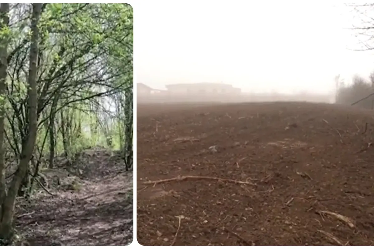 FOTO: Obyvateľom v Dubnici nad Váhom vyrúbali za pozemkami časť lesa, pohlaď na prázdny pozemok ich šokoval