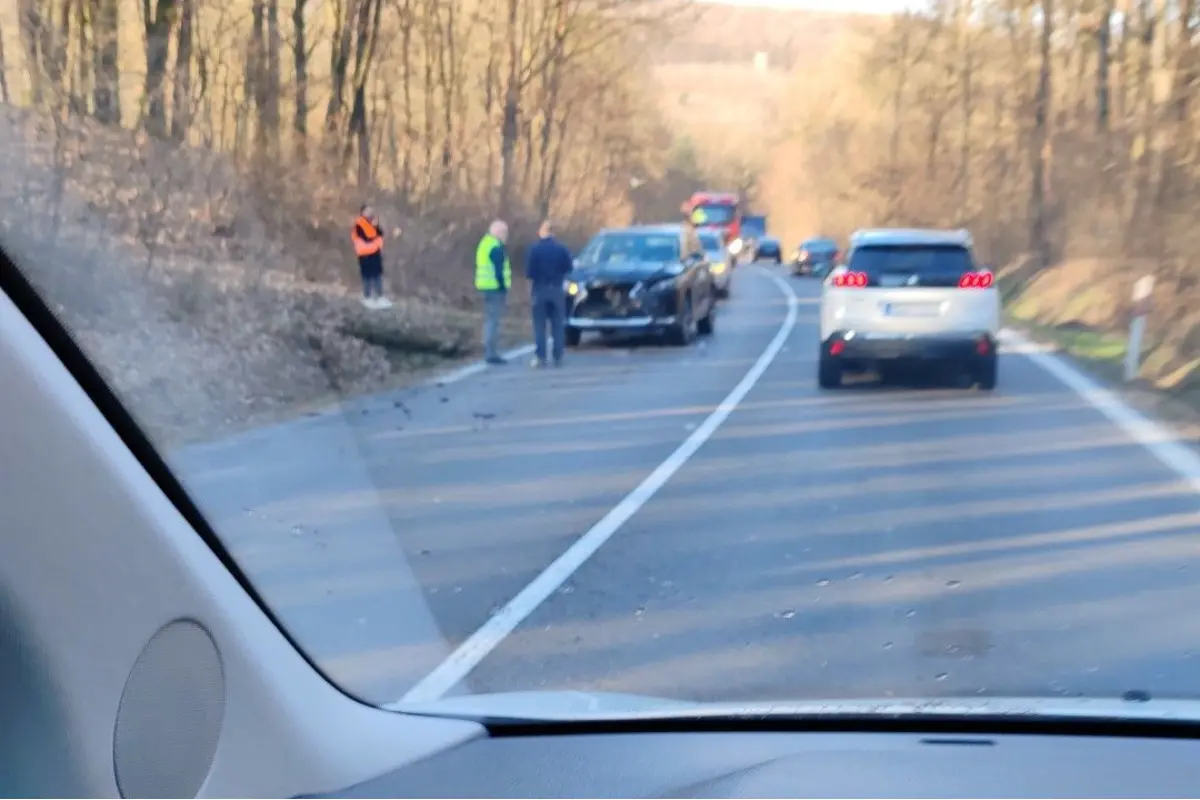 Foto: Vodiči, pozor na nehodu pred Novákmi smerom z Horných Vesteníc, auto zrazilo zver, zdržíte sa (FOTO)