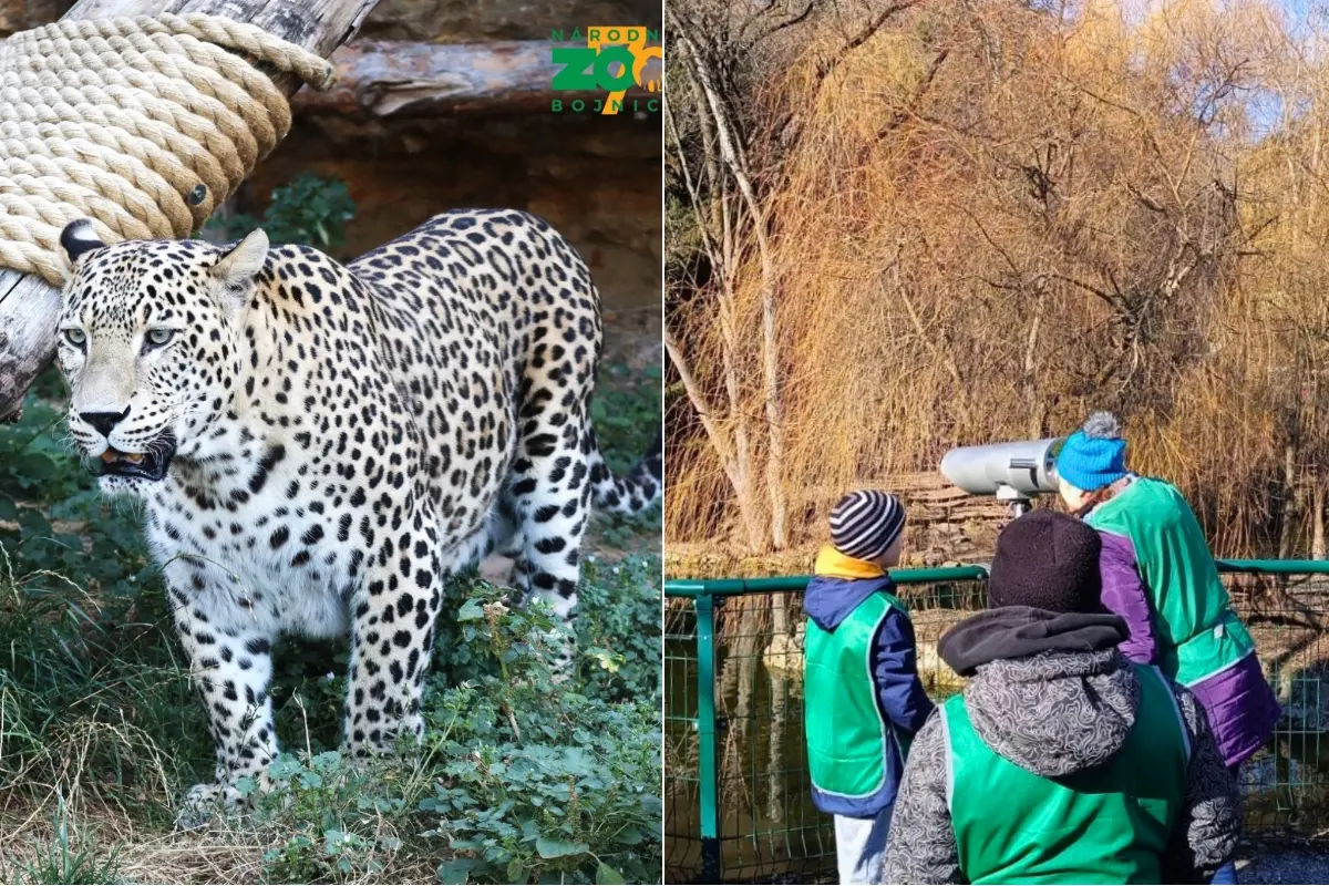 Foto: Zoologická záhrada v Bojniciach je dočasne zatvorená pre preventívne opatrenia súvisiace s vysoko infekčným ochorením