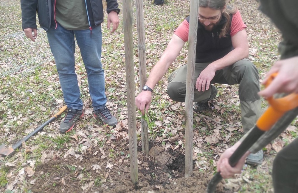 FOTO: Stromy v Trenčíne v ohrození. Deťom ukradli v škôlke jedličku, v parkoch padli za obeť ďalšie stromy , foto 4