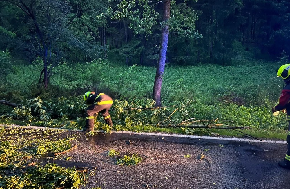 FOTO: Silná búrka lámala stromy na hornej Nitre. Hasiči museli spadnuté dreviny odpratávať z cesty, foto 6