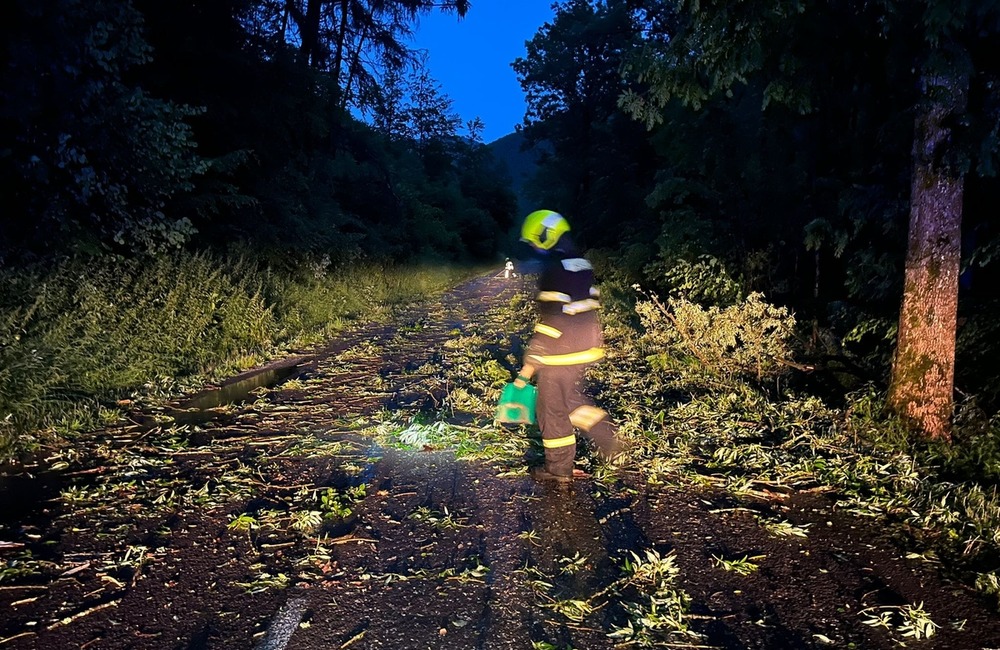 FOTO: Silná búrka lámala stromy na hornej Nitre. Hasiči museli spadnuté dreviny odpratávať z cesty, foto 8