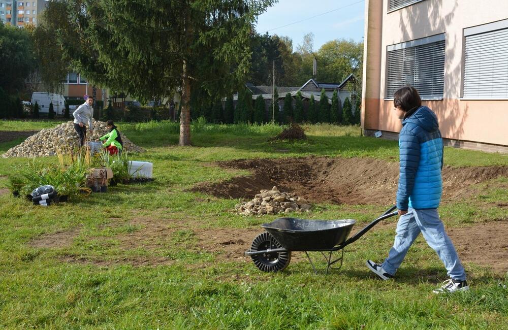 FOTO: Žiaci z Púchova vytvorili dažďovú záhradu, foto 10