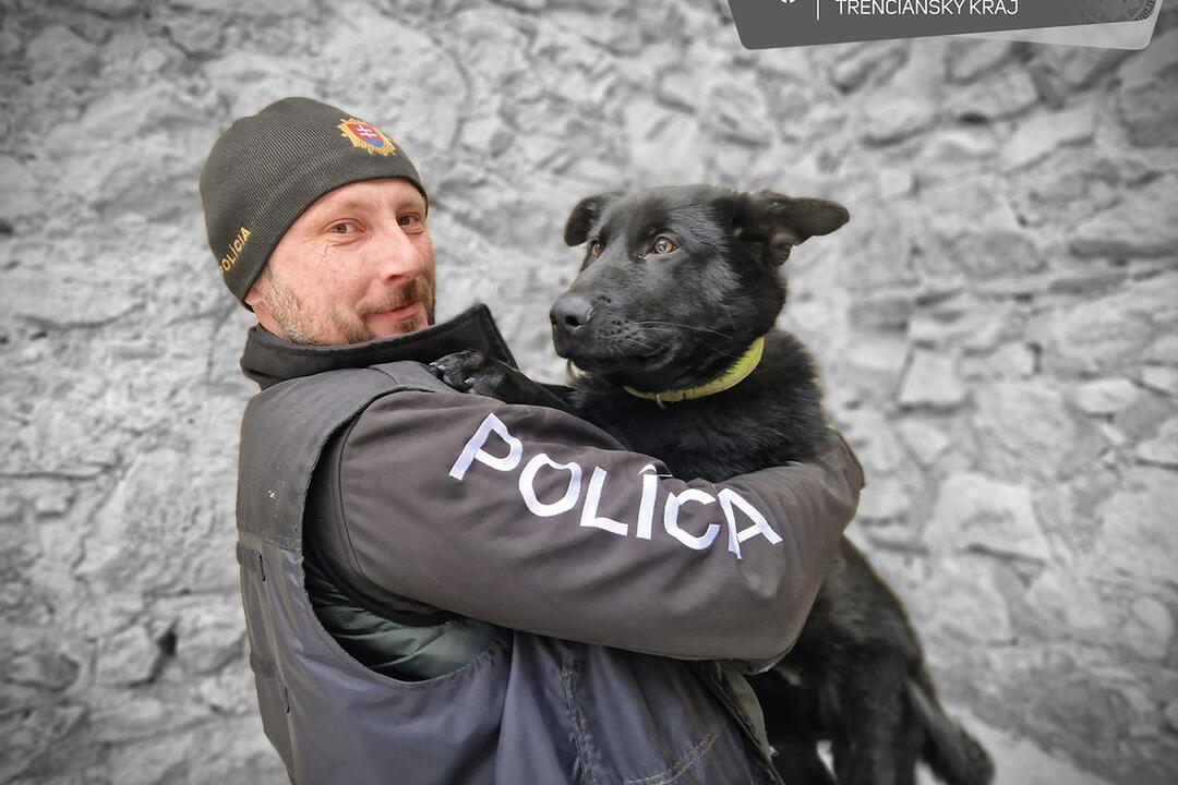 FOTO: Roztomilý pomocník policajtov má už 5 mesiacov. Z malej čiernej guľky je riadny trhač, foto 3