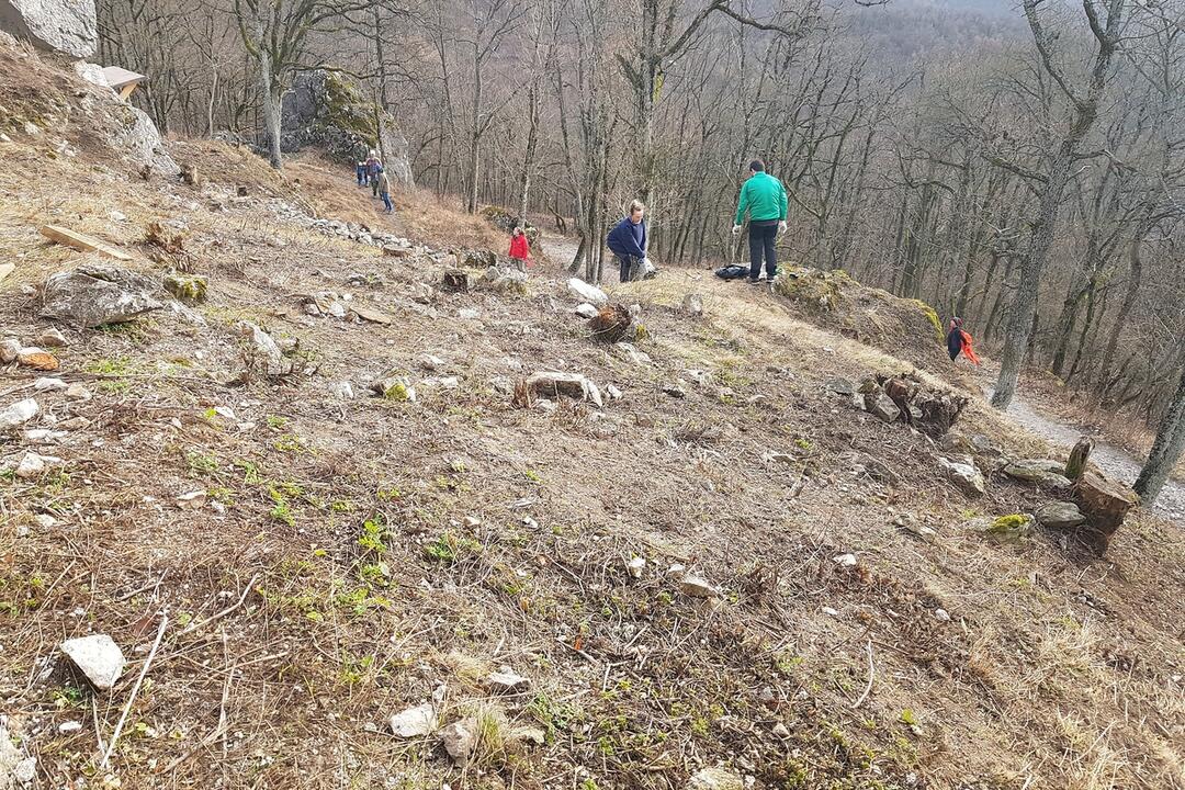 FOTO: Víkendovú brigádu na hrade Tematín majú za sebou. Okrem slovenčiny tam zneli aj iné jazyky , foto 6