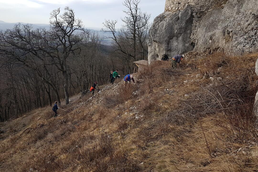 FOTO: Víkendovú brigádu na hrade Tematín majú za sebou. Okrem slovenčiny tam zneli aj iné jazyky , foto 7