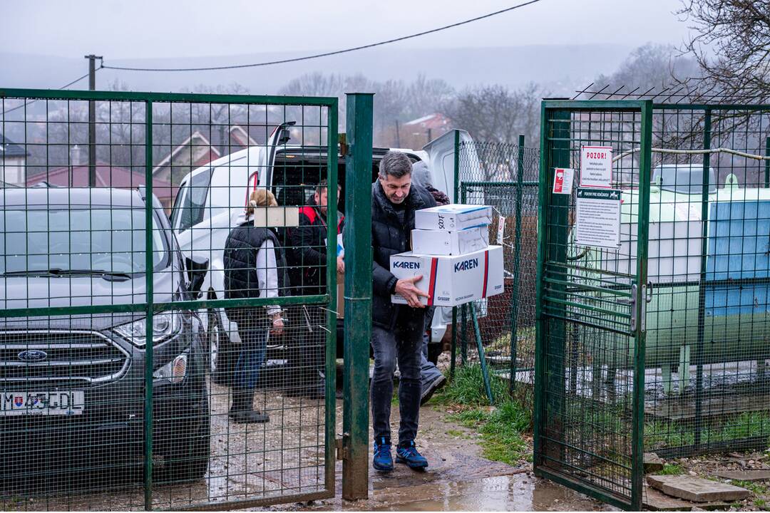 FOTO: Vďaka peniazom z novomestských podujatí nakúpili psíkom z útulku krmivo, foto 16