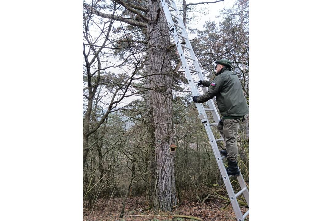 FOTO: Na Čachtickom hrade zasahovali hasiči aj Stráž prírody, hradný maskot zostal uväznený vysoko nad zemou, foto 6