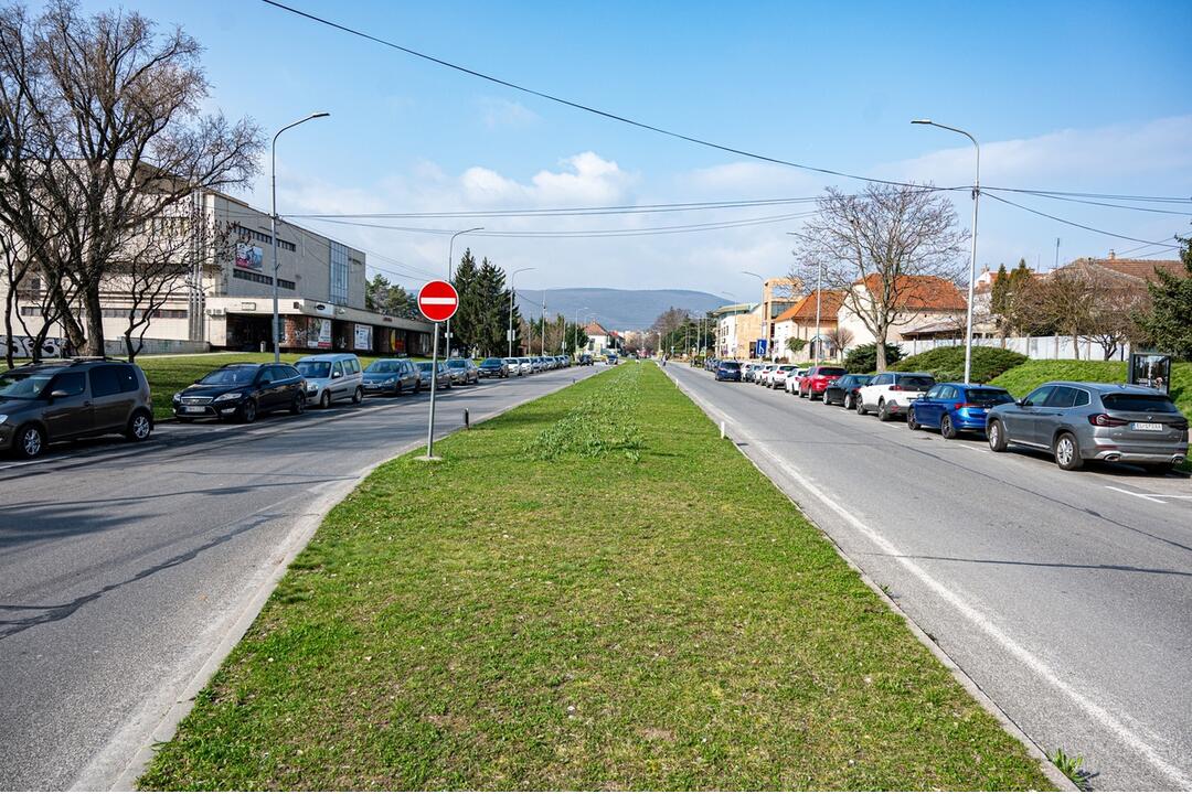 FOTO: Neuveriteľná arogancia. Vodiči si v Novom Meste nad Váhom ťažkú hlavu zo zákazu parkovania nerobili, foto 1