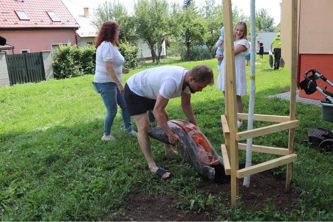 FOTO: Dubnickým bábätkám zasadili stromčeky, foto 1