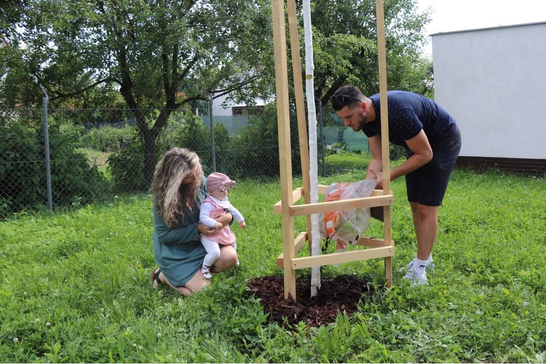 FOTO: Dubnickým bábätkám zasadili stromčeky, foto 2