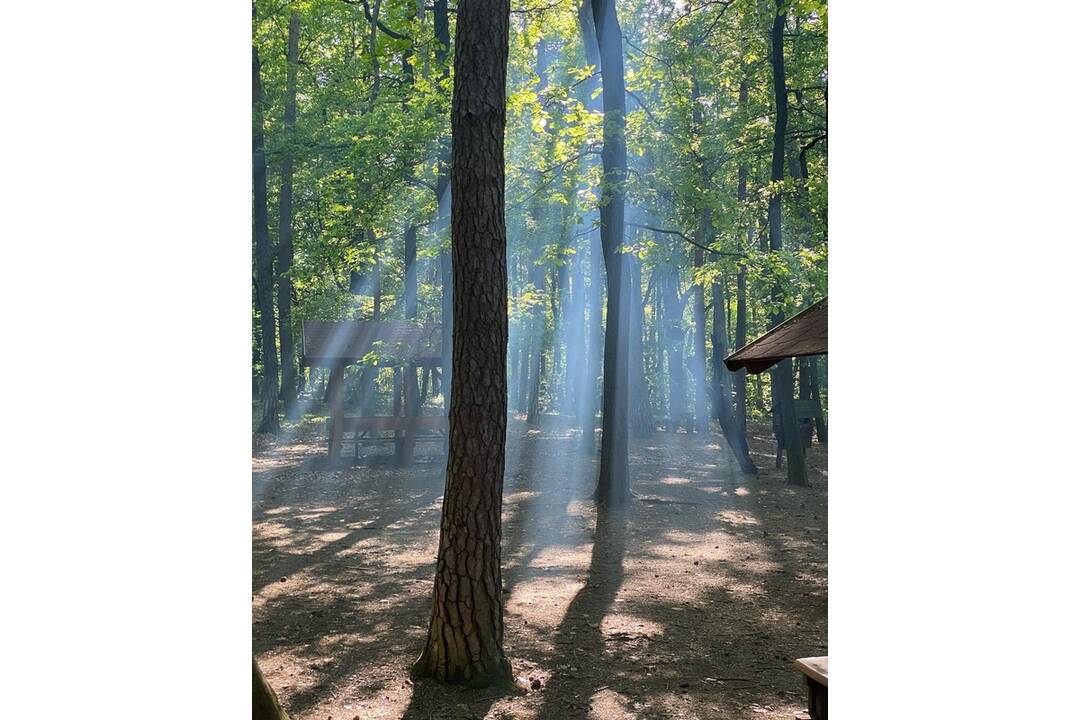 FOTO: Aktivity v Trenčíne, ktoré ponúknu príjemné schladenie pred horúčavami, foto 5