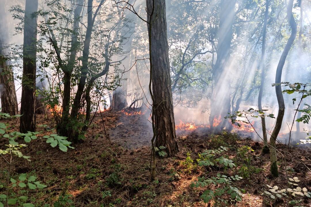 FOTO: Rýchly zásah hasičov zabránil rozšíreniu požiaru v staroturianskych letoch, foto 1