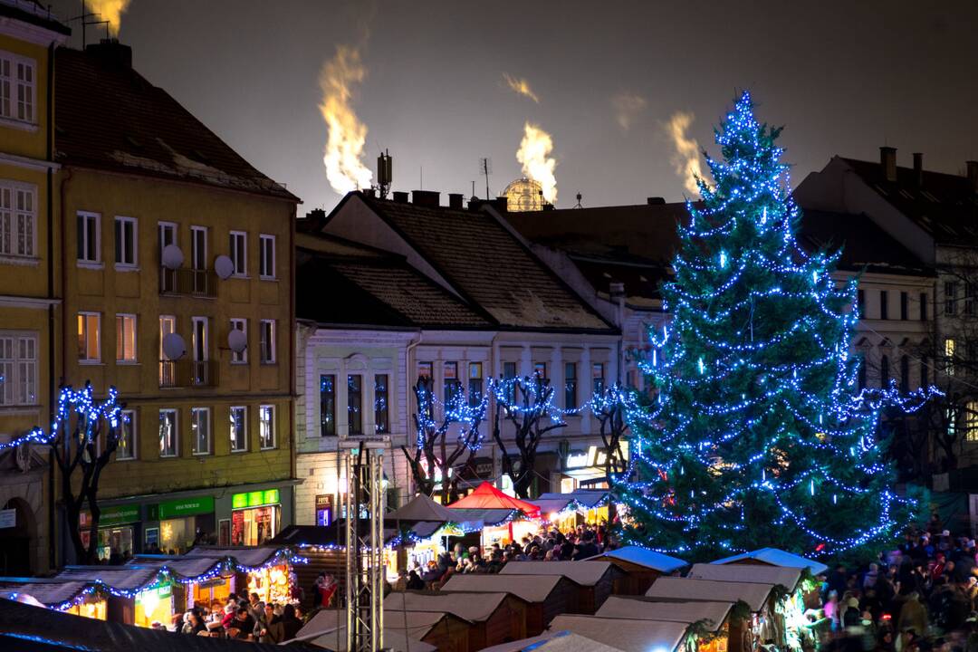 FOTO: Mesto Trenčín hľadá vhodný vianočný stromček na námestie, foto 1