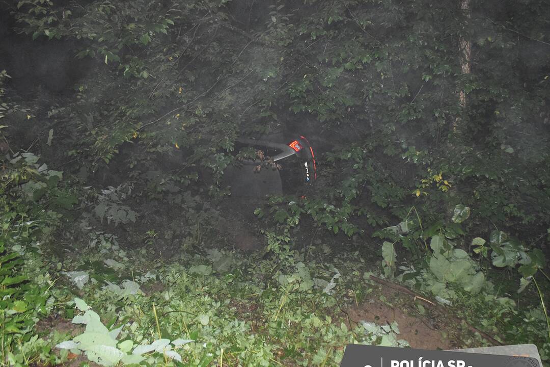 FOTO: Muž pod vplyvom alkoholu a bez vodičského oprávnenia havaroval pri Zlatníkoch, foto 2