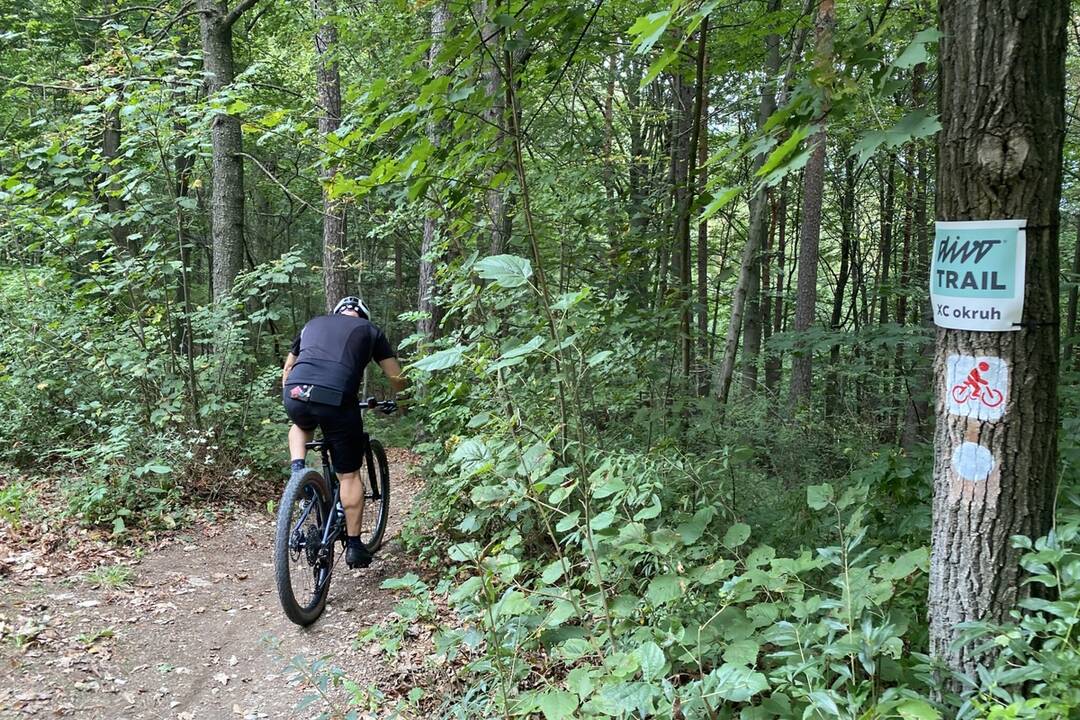 FOTO: Mesto začalo s výstavbou XC okruhu na Brezine, foto 2