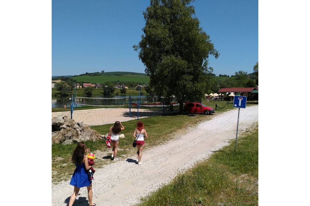 FOTO: Labuť na ostrove v Trenčíne roztrhalo zviera , foto 1