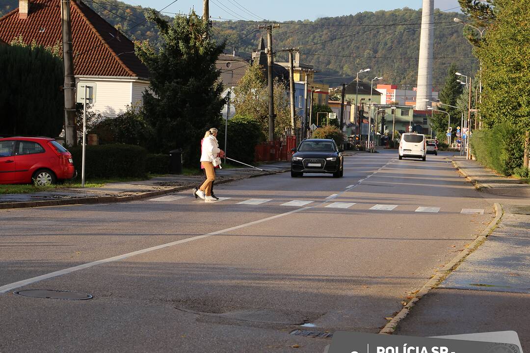 FOTO: Polícia na cestách kontroluje vodičov, či pustia slepých cez priechod, foto 2