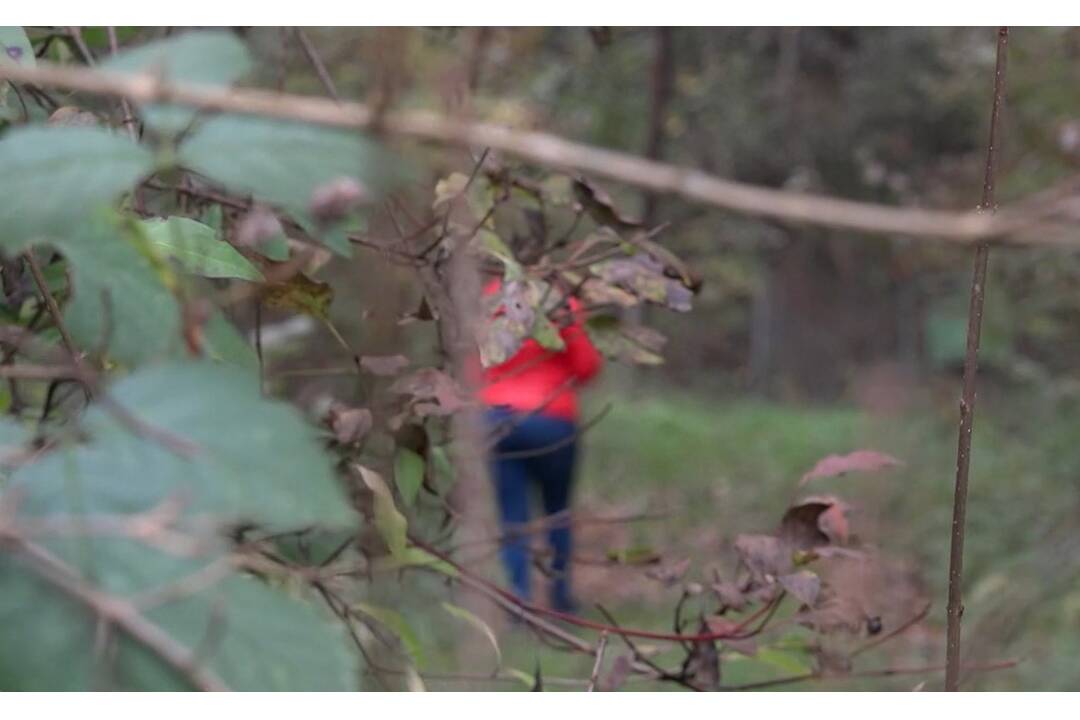 FOTO: Dôchodkyni sa zasekla noha v pletive, pomoci sa dočkala až o polnoci, foto 2