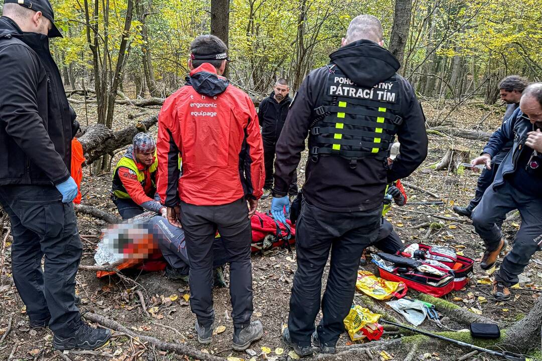 FOTO: Seniora z Handlovej hľadali drony, vrtuľník a desiatky ľudí. Nakoniec prišla dobrá správa, foto 3