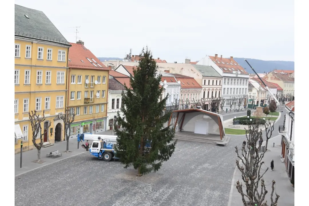 FOTO: Na Mierovom námestí v Trenčíne už stojí 17-metrový smrek, foto 2