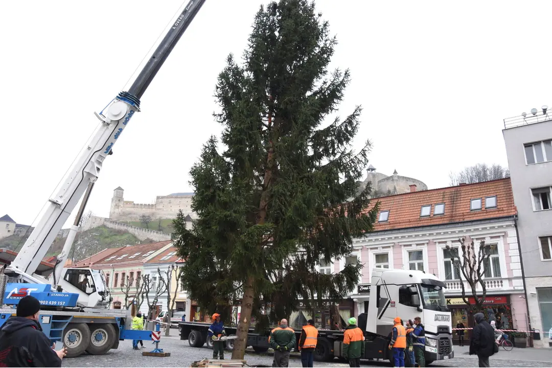 FOTO: Na Mierovom námestí v Trenčíne už stojí 17-metrový smrek, foto 4