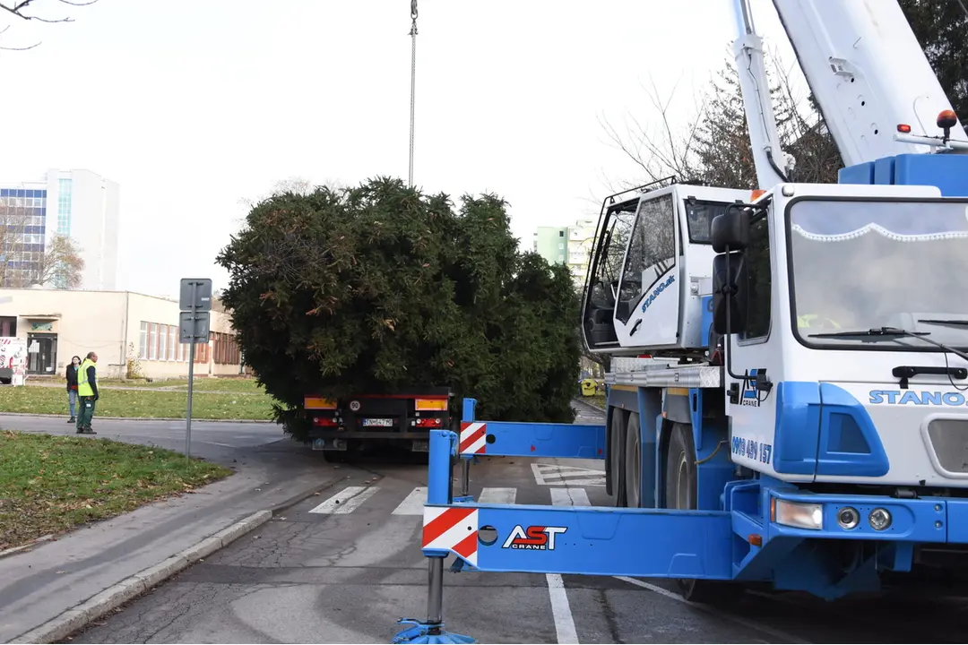 FOTO: Na Mierovom námestí v Trenčíne už stojí 17-metrový smrek, foto 5