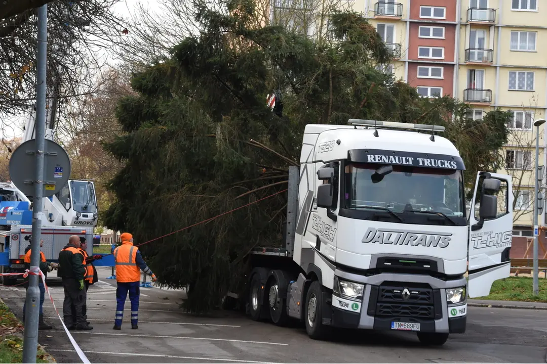 FOTO: Na Mierovom námestí v Trenčíne už stojí 17-metrový smrek, foto 6