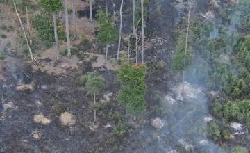 FOTO: V obci Veľké Uherce horelo. Požiar lesného porastu hasilo vyše 50 hasičov